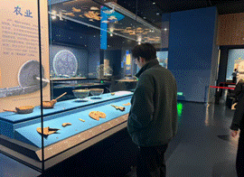 2025-10-30 10:56:09.847000